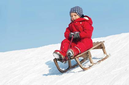 sled