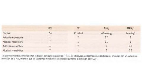 Análisis de gases en sangre que permite evaluación del balance acido -base del organismo a través de la determinación del pH, bicarbonate...