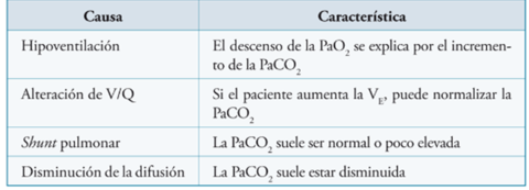 BASES DE LA VENTILACION MECANICA