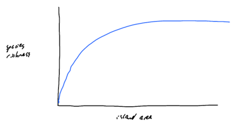 What is the implication of the McArthur equation?