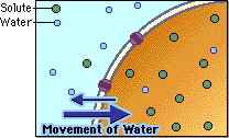 hypotonic looks like: