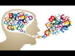como nos comunicamos los seres humanos?