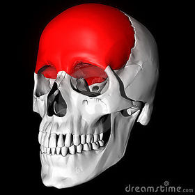 FRONTAL