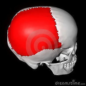 PARIETAL