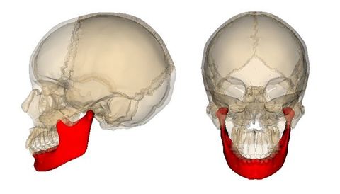 MAXILAR INFERIOR