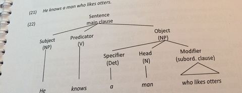 Relative clause