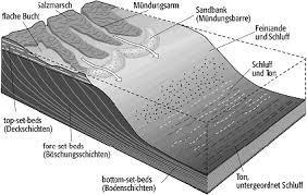 Zeichnen Sie einen idealisierten Querschnitt eines Deltas, und kennzeichnen Sie Topsets, Foresets und Bottomsets