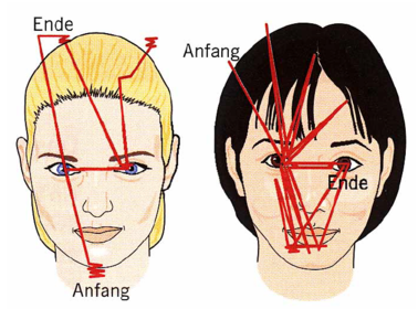 visuelle Wahrnehmung von komplexen Formen (Gesicht)