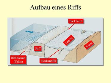 Skizzieren Sie den Aufbau eines Riffs