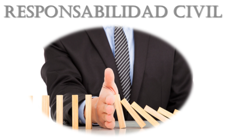 Responsabilidad Civil
