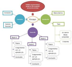 El cuerpo el ensayo argumentativo está conformado por: Introducción, desarrollo y conclusión.