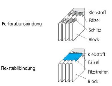 BIndearten mit teilweiser Zerstörung des Bundstegs