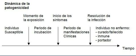 Dinámica de la patogenicidad