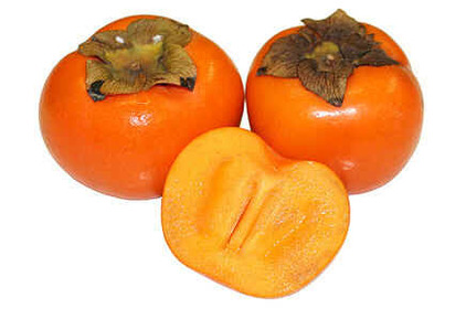 柿子 SHÌZI