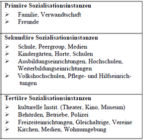 Instanzen der Sozialisation