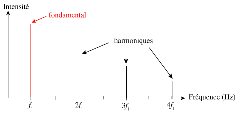 fondamentales et harmoniques