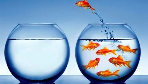 Como fazer com que as instituições estejam preparadas para enfrentar as mudanças constantes que o ambiente projeta?