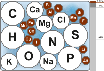 composición molecular de los organismos se dividen en bioelementos primarios, secundarios y oligoelementos.