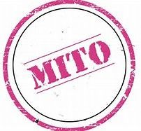 As primeiras explicações foram desenvolvidas pelos mitos. Com a filosofia inicia uma tentativa de explicação racional.