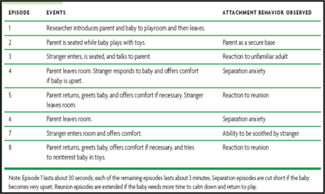 A-level psychology Attachment
