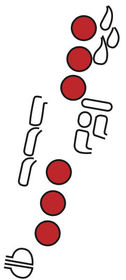 D