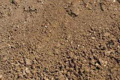 Silt