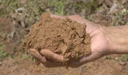 Silt