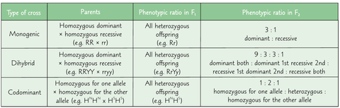State the expected ratio for F2 generation for monohybrid, dihybrid and codominant