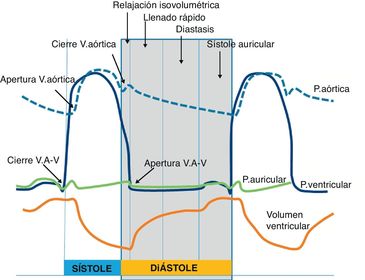Menciona las fases diastolicas del ciclo cardiaco: