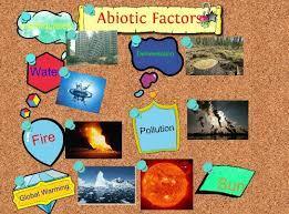 Define the term abiotic factors.