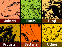 Name 7 factors that change an environment?