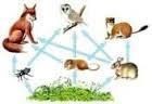 What does interdependence mean?