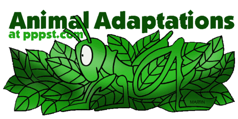 Define the meaning of adaptation.