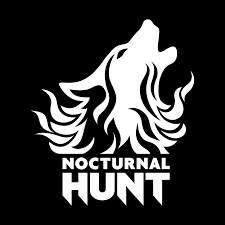 What does nocturnal mean?