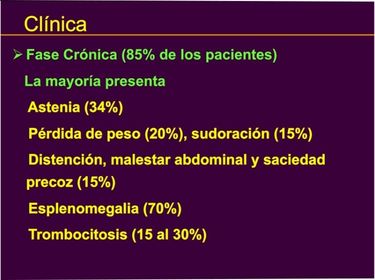 SÍNDROMES MIELOPROLIFERATIVOS CRÓNICOS LEUCEMIA MIELOIDE CRONICA TEORICA Clinica