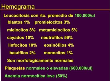 SÍNDROMES MIELOPROLIFERATIVOS CRÓNICOS LEUCEMIA MIELOIDE CRONICA TEORICA Hemograma