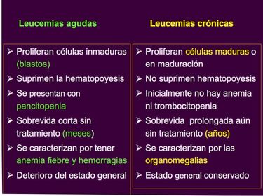 SÍNDROMES LINFOPROLIFERATIVOS CRÓNICOS. LINFOMAS NO HODGKIN LEUCEMIA LINFÁTICA CRÓNICA TEÓRICA Diferencia entre Leucemias Ag y Cr