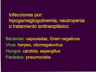 SÍNDROMES LINFOPROLIFERATIVOS CRÓNICOS. LINFOMAS NO HODGKIN LEUCEMIA LINFÁTICA CRÓNICA TEÓRICA Principales Microorganismos en hipogammagl...