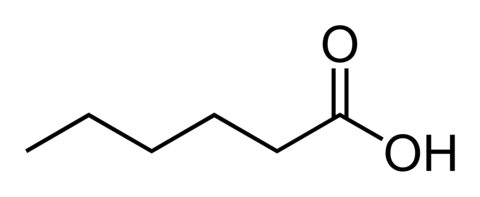 Caproic Acid