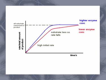 How does enzyme concentration affect enzyme activity?
