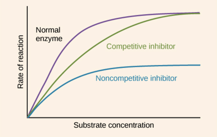 How do inhibitors affect the rate of enzyme reaction?