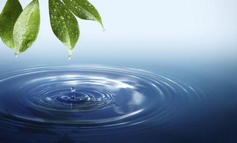 paani