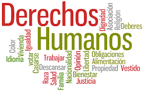 INSTRUMENTOS INTERAMERICANOS DE PROTECCIÓN DE DERECHOS HUMANOS EN GENERAL