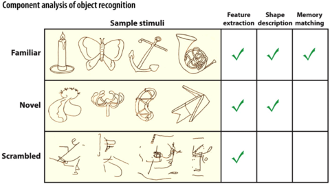 Component analysis of object recognition