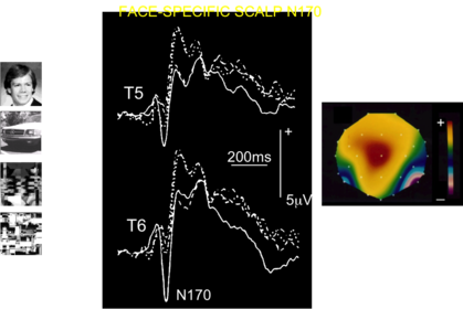 Face specific N170