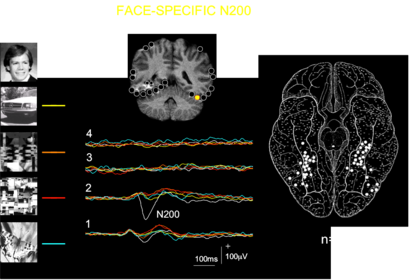 Face specific N200