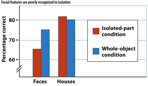 Facial features are poorly recognized in isolation