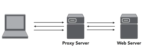 INFO: Normally when user connects to web site their system connects directly with web server; in proxy situation, the user connects to pr...