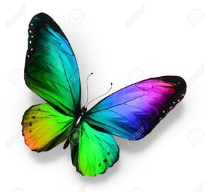 MARIPOSA