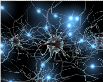 Impulso nervioso y sinapsis Las neuronas son eléctricamente excitables, por lo tanto, el impulso nervioso es un potencial de acción unidi...